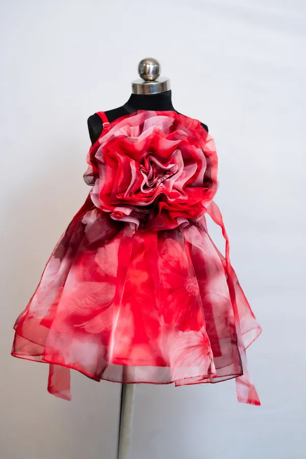 https://d1311wbk6unapo.cloudfront.net/NushopCatalogue/tr:f-webp,w-600,fo-auto/Modish_red_printed_sleeveless_casual_frock_in_organza_fabric_for_girls_W6IOC72V5E_2024-07-22_1.jpg__ modish