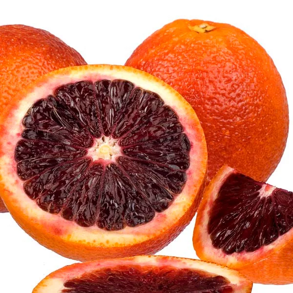 Thai_Moro_Blood_Orange_Dwarf_Varieties_Fruit_Plant