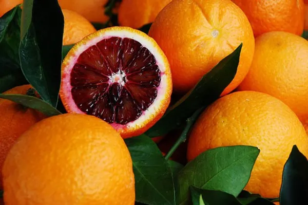 Thai_Moro_Blood_Orange_Dwarf_Varieties_Fruit_Plant