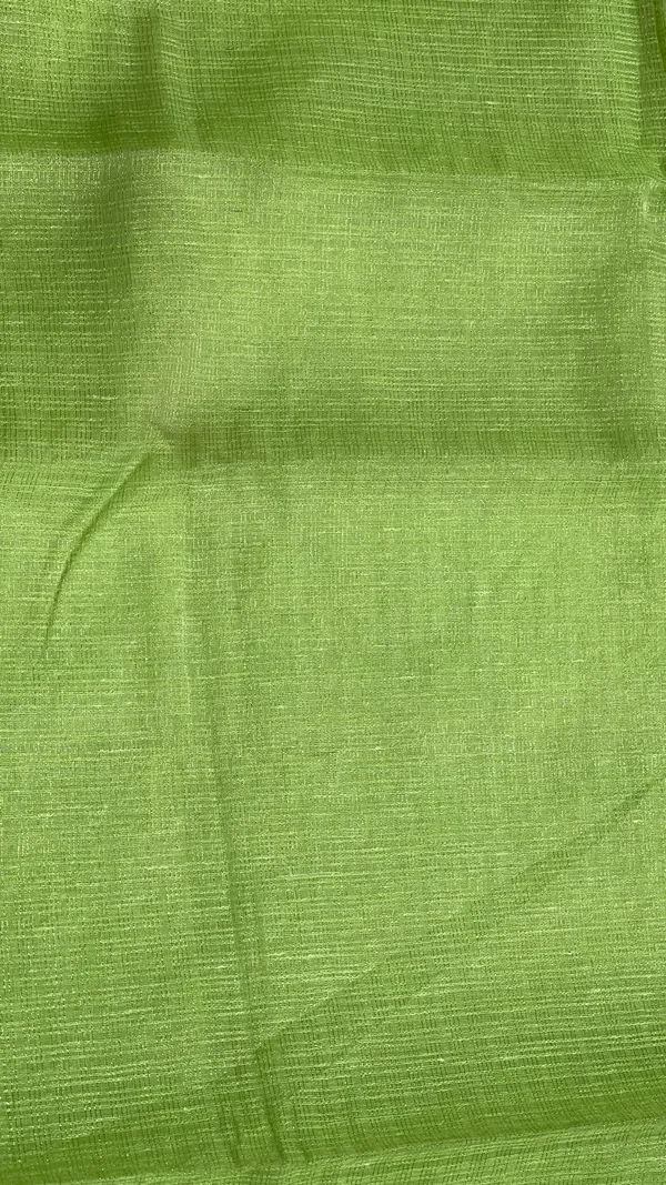 Humairah_Presents_Pista_Green_Supernet_Banarasi_Tissue_Silver_Zari_Stripe_and_Silver_Floral_Zari_Border_with_Stripe_Pista_Green_Blouse_Banarasi_Saree