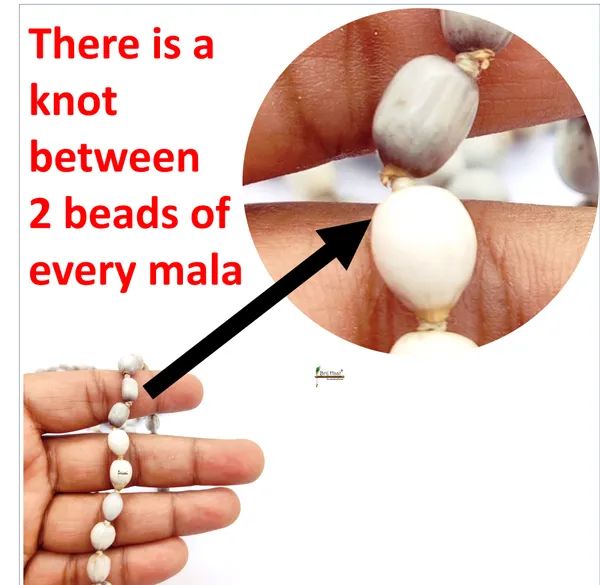 Natural_Vaijayanti_Mala_108+1_Beads_Off-White_with_Cotton_Gaumukhi_Japa_Bag_jholi