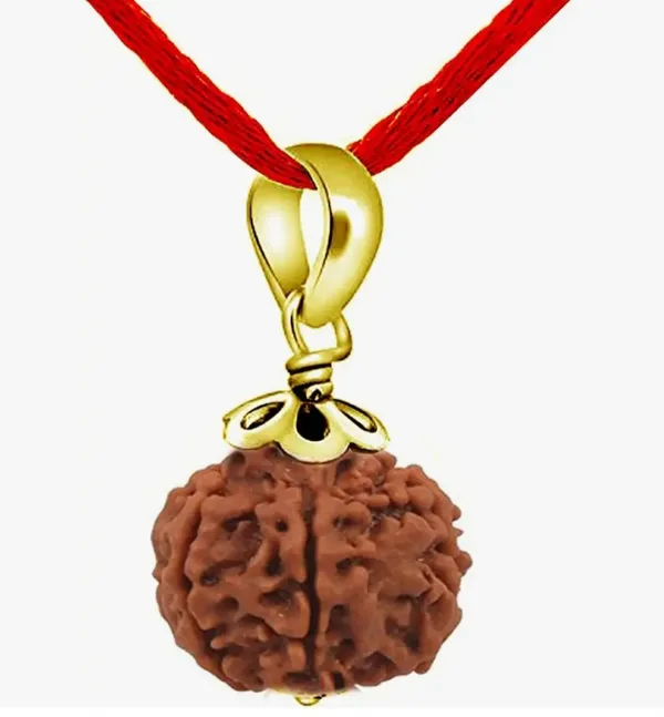 Brown_Gold_Plated_Nepali_5_Mukhi_Rudraksh_Pendant