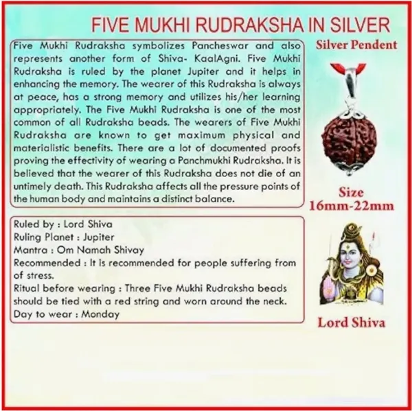 Brown_Gold_Plated_Nepali_5_Mukhi_Rudraksh_Pendant