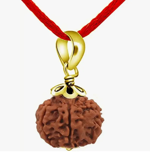 Brown_Gold_Plated_Nepali_5_Mukhi_Rudraksh_Pendant