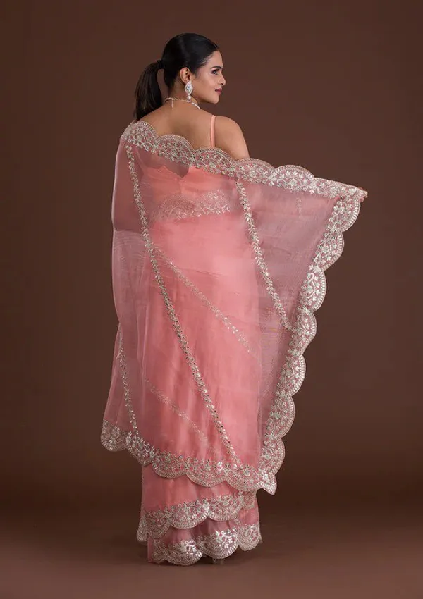 New_and_Hot_Designer_Organza_Silk_Saree
