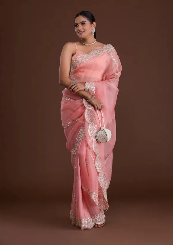 New_and_Hot_Designer_Organza_Silk_Saree