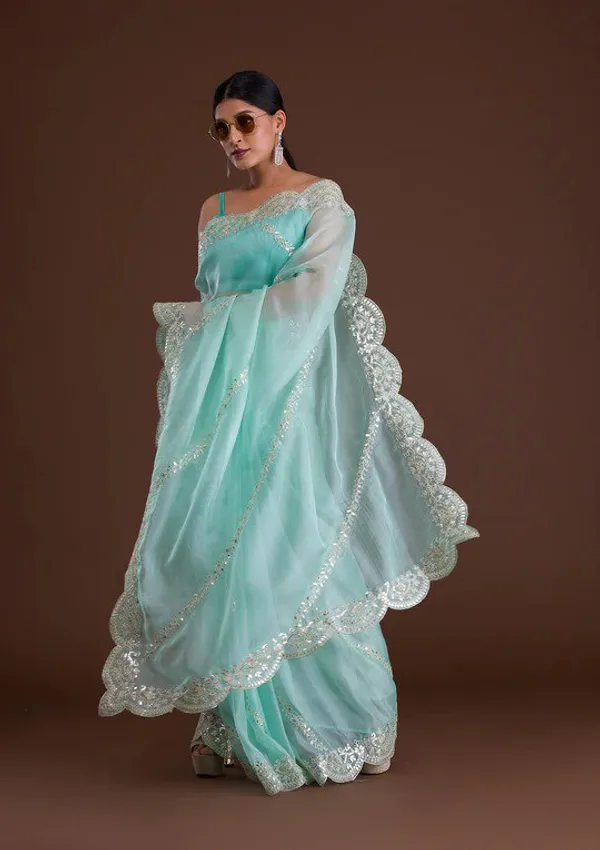 New_and_Hot_Designer_Organza_Silk_Saree