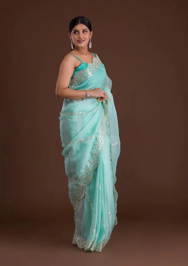 New_and_Hot_Designer_Organza_Silk_Saree