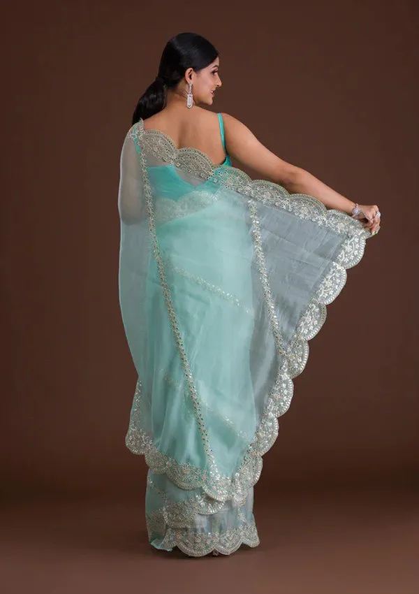 New_and_Hot_Designer_Organza_Silk_Saree