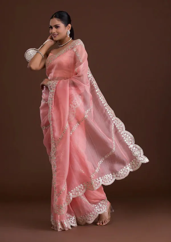 New_and_Hot_Designer_Organza_Silk_Saree