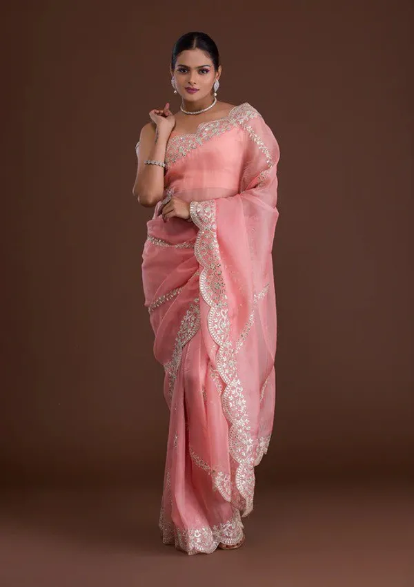 New_and_Hot_Designer_Organza_Silk_Saree