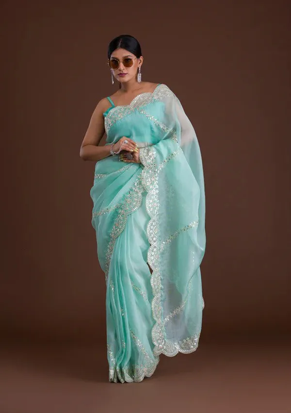 New_and_Hot_Designer_Organza_Silk_Saree