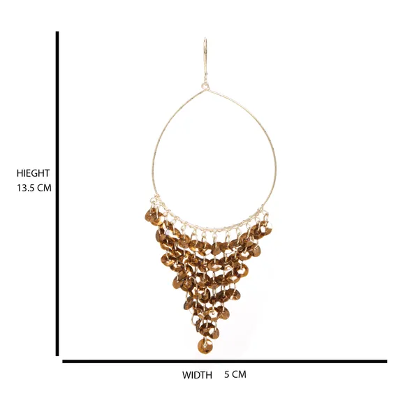 Brown_&_Gold_Shiny_Dangle_Earring_For_Women