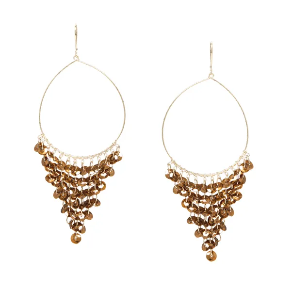 Brown_&_Gold_Shiny_Dangle_Earring_For_Women