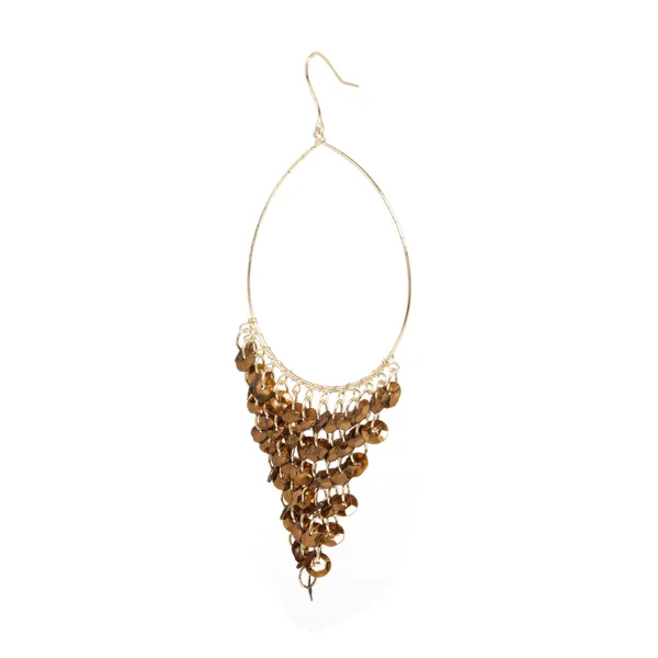 Brown_&_Gold_Shiny_Dangle_Earring_For_Women