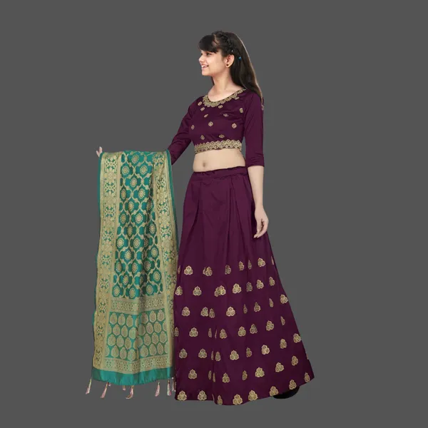 Girls_Lehenga_Choli_Ethnic_Wear_Embroidered_Lehenga_Choli