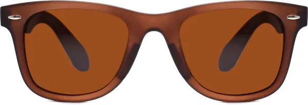 Brown_Wayfarer_Sunglasses_-_For_Unisex