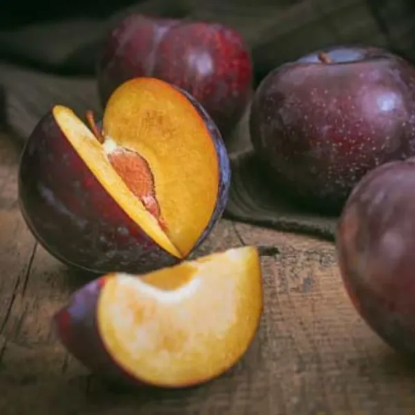 Plum_Plant_Prunus_Domestica_Aloo_Bukhara