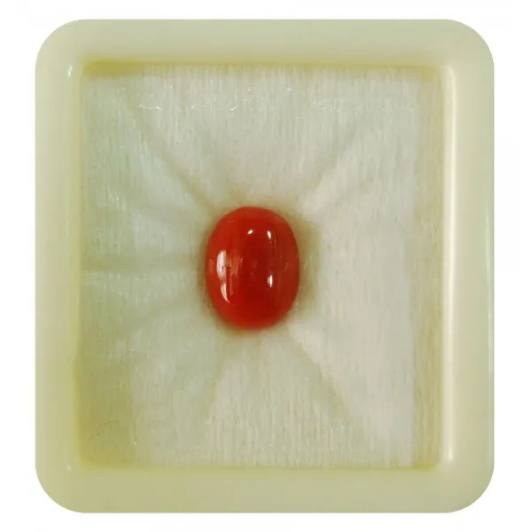 Moonga 5.25 ratti price top
