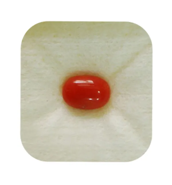 Moonga stone price 5.25 ratti online