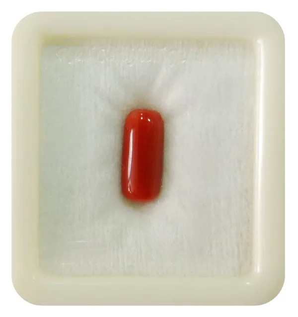 Moonga stone price 5.25 ratti hotsell