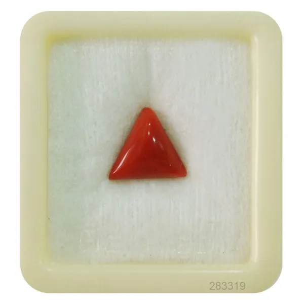 Prism Jewel Ratti Red Coral (Moonga) Natural Loose Gemstone