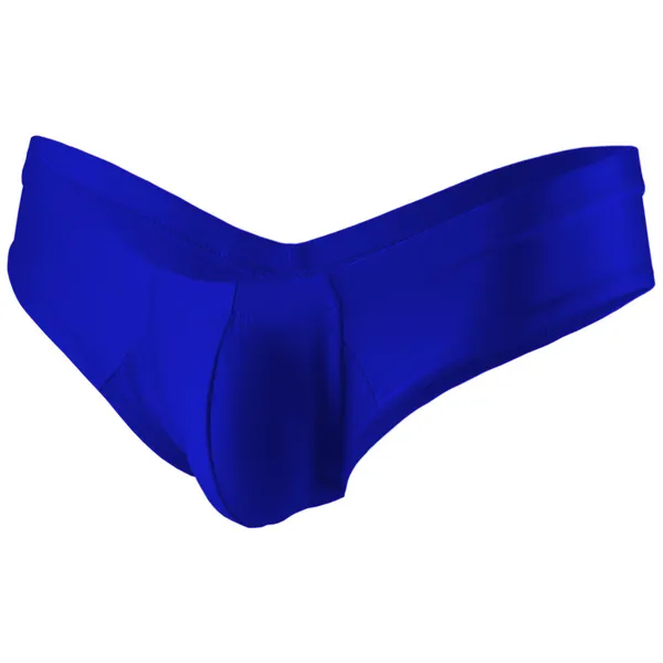 Royal_Blue_Brief_Underwear_For_Men