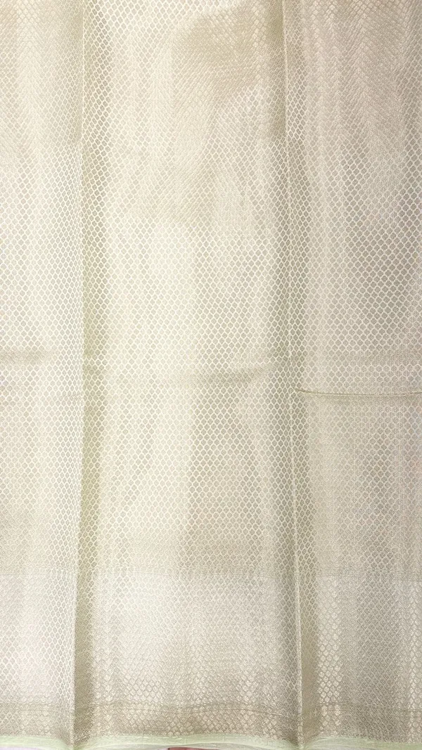 Humairah_Pure_Handloom_Light_Green_Dupion_Silk_Tilfi_Mina_Zari_Jaal_with_Skirt_Golden_Zari_Border_and_Pista_Green_Blouse