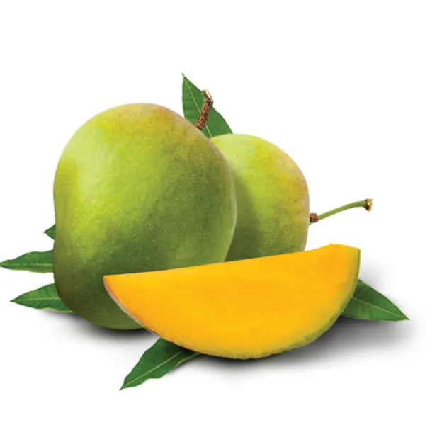 Himsagar_Mango_Grafted_Plant