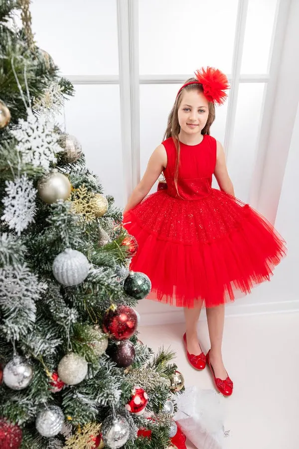 Red_Net_Solid_Round_Neck_Dress_For_Girls