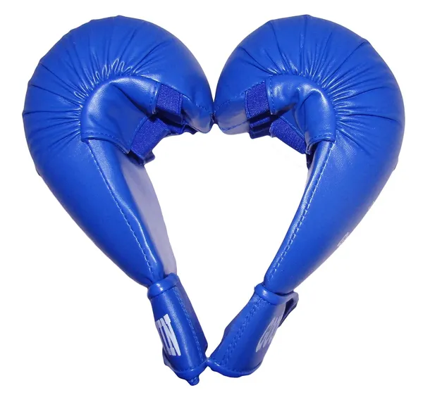 Blue_Martial_Arts_Rexine_Covered_Foam_Molded_Hand_Gloves