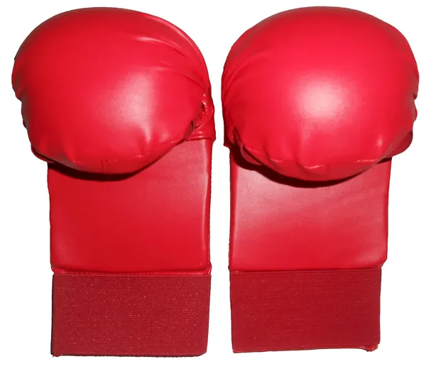 Red_&_Blue_Martial_Arts_Rexine_Covered_Foam_Molded_Hand_Gloves