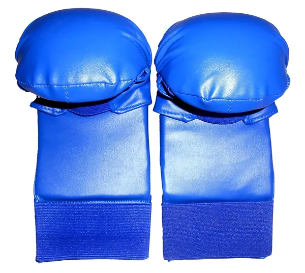 Red_&_Blue_Martial_Arts_Rexine_Covered_Foam_Molded_Hand_Gloves