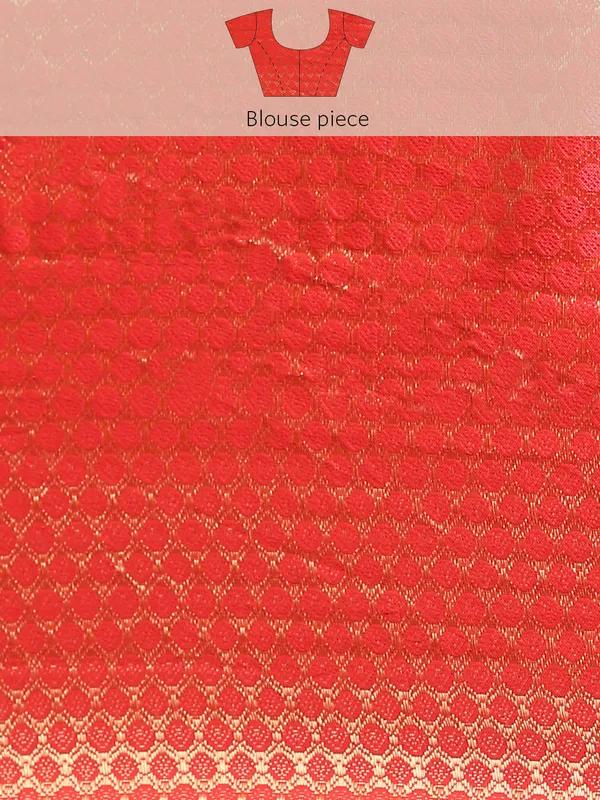 Pink_Vichitra_Silk_Foil_and_Swarovski_Work_Saree