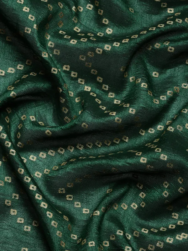 Green_Vichitra_Silk_Foil_and_Swarovski_Work_Saree