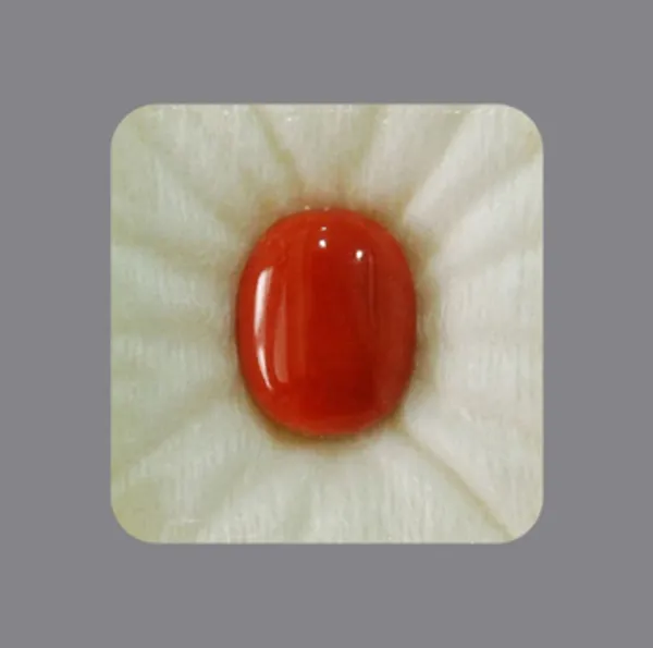 Original moonga stone price shop