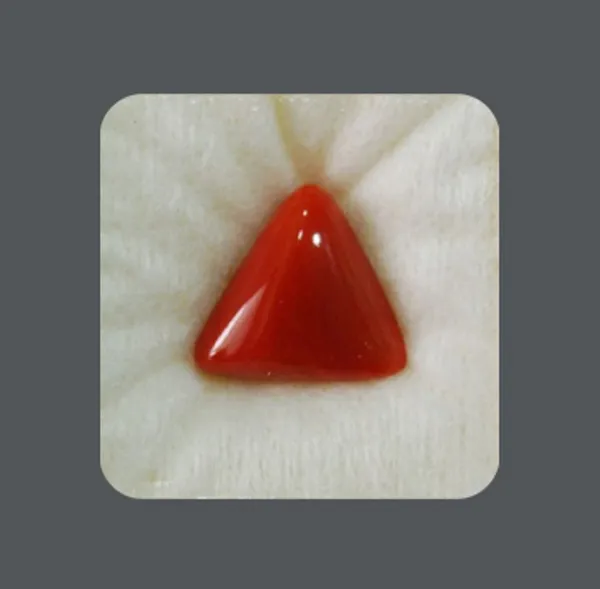 Prism Jewel 7.25 Ratti Red Premium Quality Certified Coral Moonga Natural Loose Gemstone Price in India Buy Prism Jewel 7.25 Ratti Red Premium Quality Certified Coral Moonga Natural Loose Gemstone onl...
