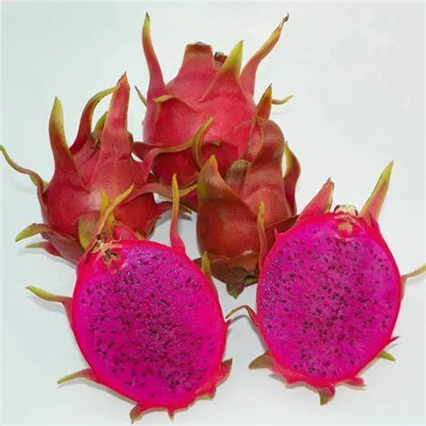 Red_Dragon_Hybrid_Fruit_Plant_(Pack_Of_1)