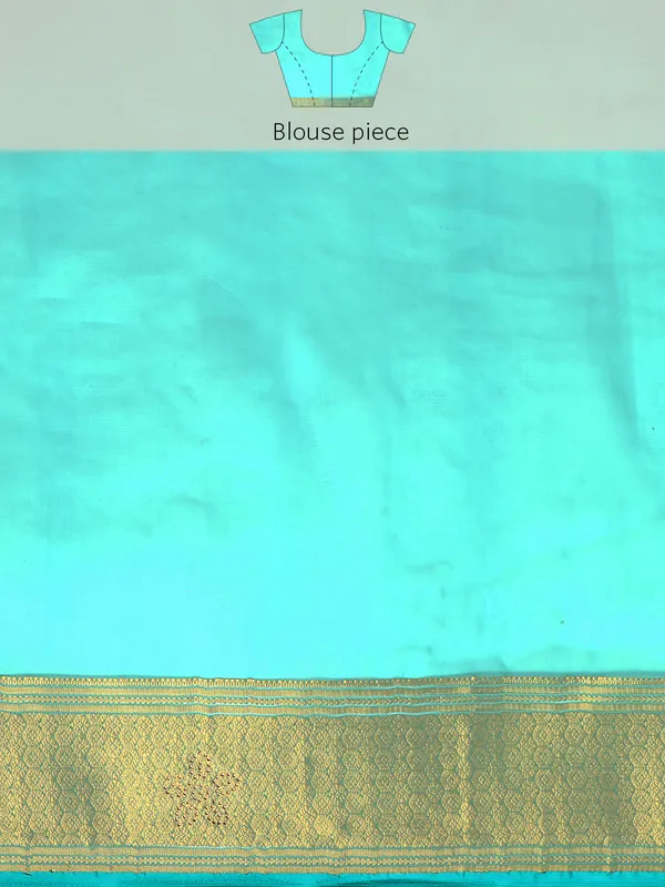 Indian_Women_Turquoise_Blue_Orgenza_Fancy_border_with_Embroidery_work