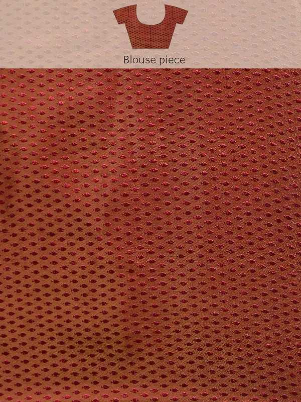 Maroon__Zomato_Silk_Swarovski_Work_Embroidery_Saree