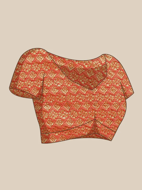 Indian_Women_Chiku__Vichitra_Silk_Foil_and_Swarovski_Work_Saree