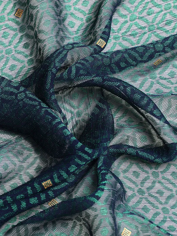 Green_Brasso_Full_Saree_Swaroski_Border