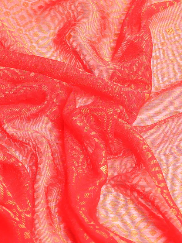 Pink_Brasso_Full_Saree_Swaroski_Border