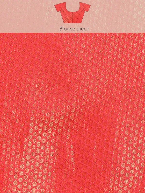 Pink_Zomato__Full_Saree_Fancy_Border_With_Swaroski_Diamond_Work