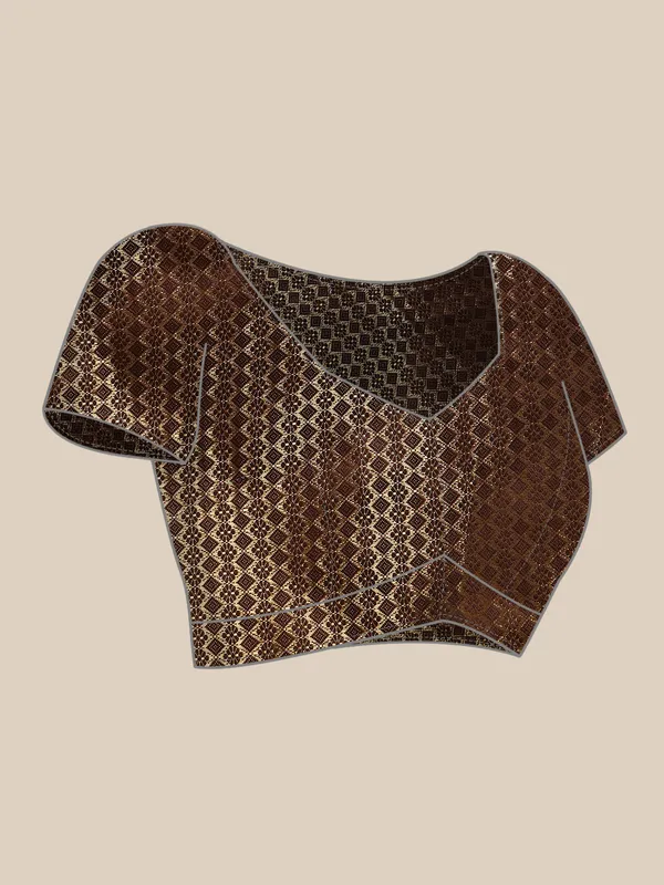 Indian_Women_Dark_Brown_Striped_Satin_Silk_Fancy_Border_with_Swarovski_work