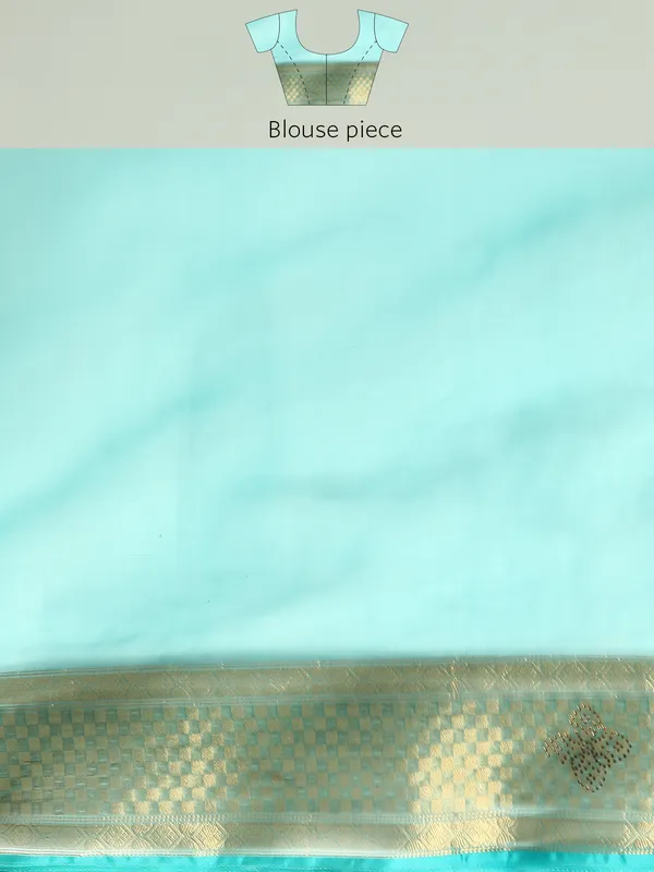 Indian_Women_Turquoise_Green_Orgenza_Fancy_border_with_Embroidery_work