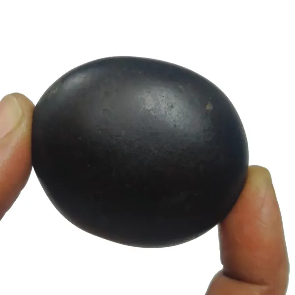 Original_Natural_Sacred_from_Nepal_Gandhaki_Nadhi_2inch