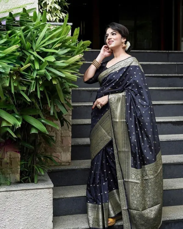 Black_Woven_Kanjivaram_Silk_Saree_with_Saree_Cover