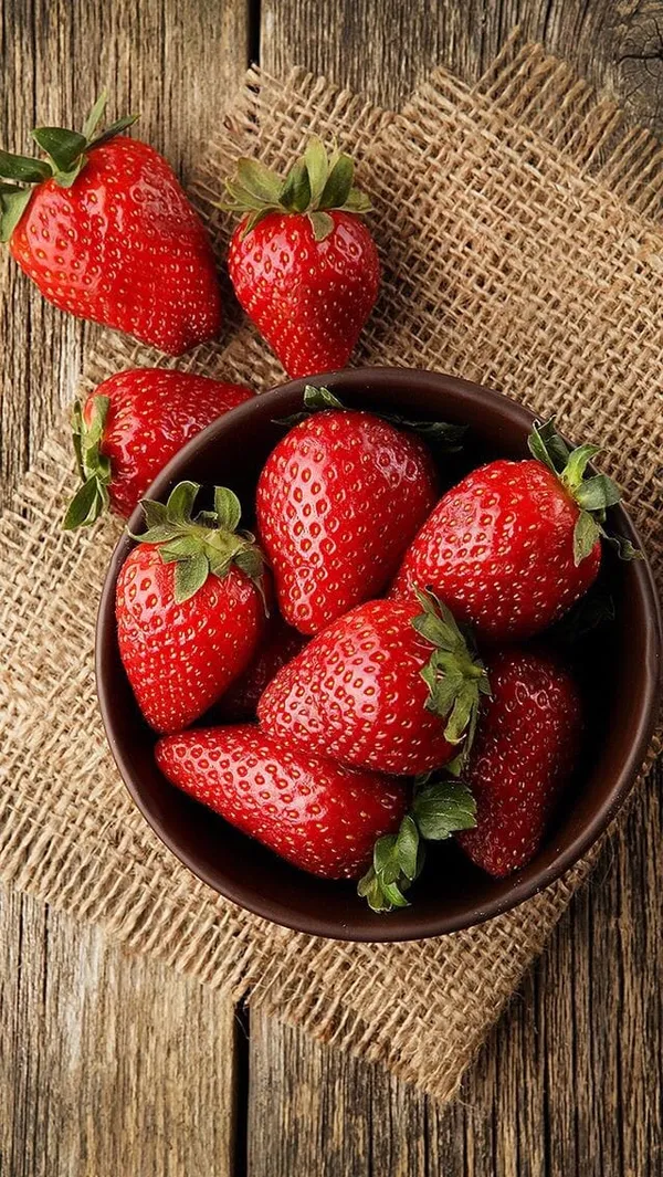Strawberry_Fruit_Plant_(1.5-2_Feet_Height_Pack_Of_1)