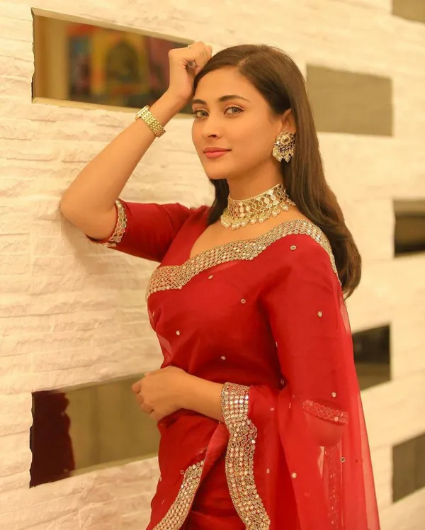Stylish_Designer_Red_Georgette_Saree